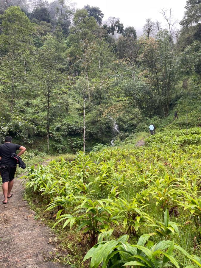 Khimsha Homestay Pelling Zewnętrze zdjęcie