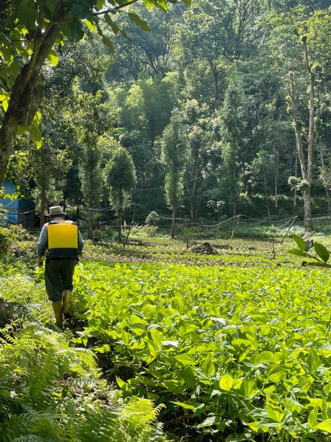 Khimsha Homestay Pelling Zewnętrze zdjęcie